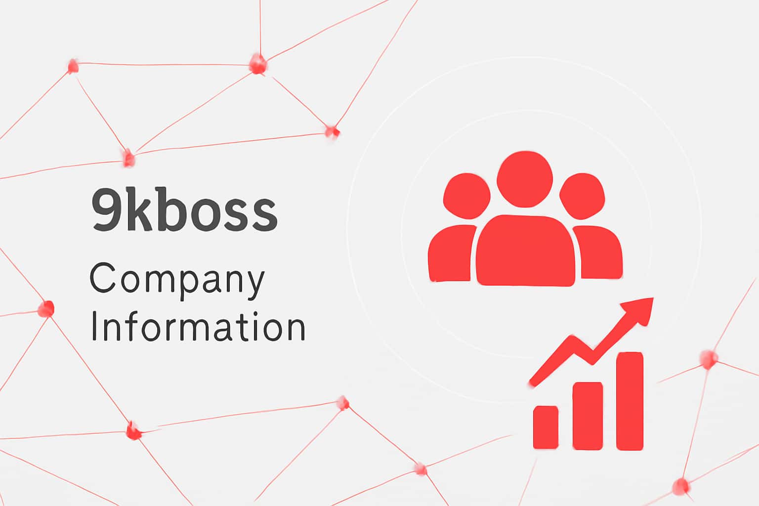 9kboss Company Information Interface